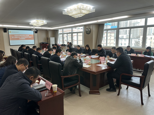公司黨委召開深入貫徹中央八項規(guī)定精神學習教育啟動部署會