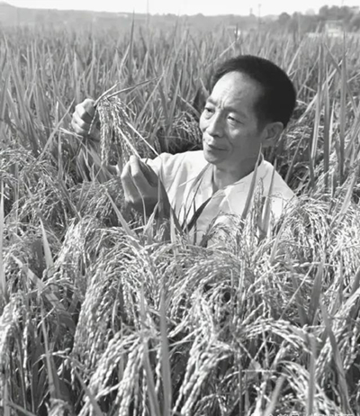 1622013457641133.jpg 11_副本.jpg